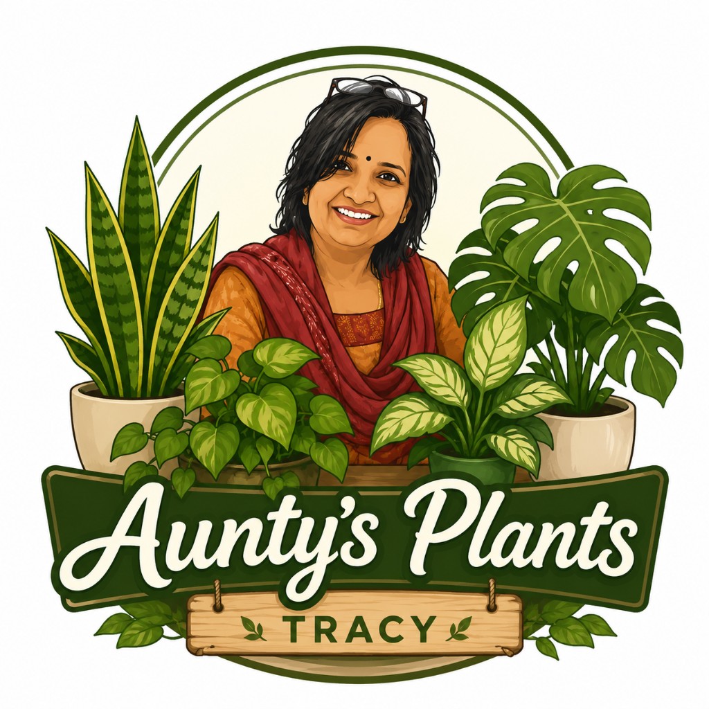 Aunty's Plants Tracy